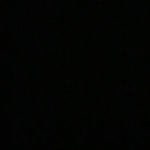 Meet your Posher, Wyatt